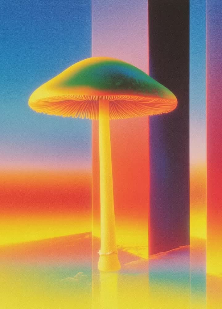 psilocybin vibes