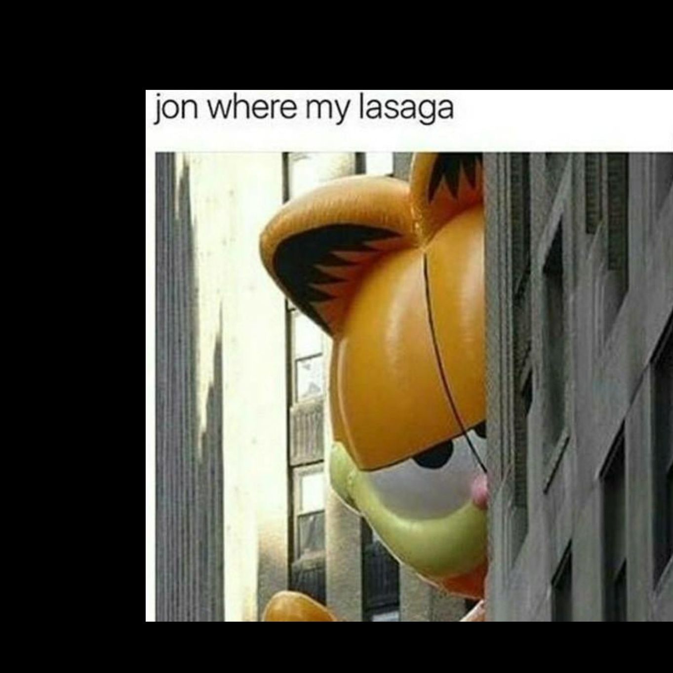  1LOVELY FUNK  BUT GARFIELD 