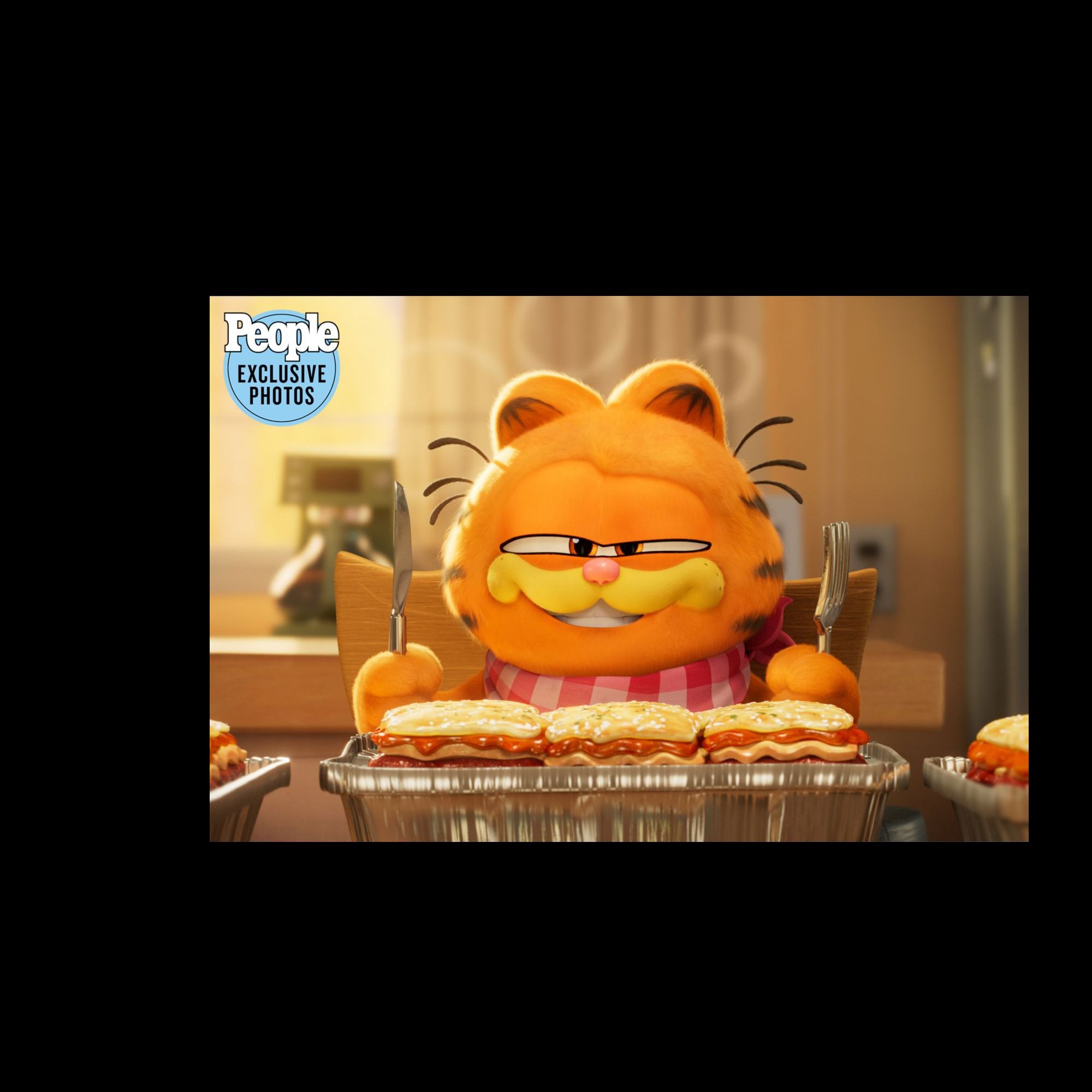  1LOVELY FUNK  BUT GARFIELD 