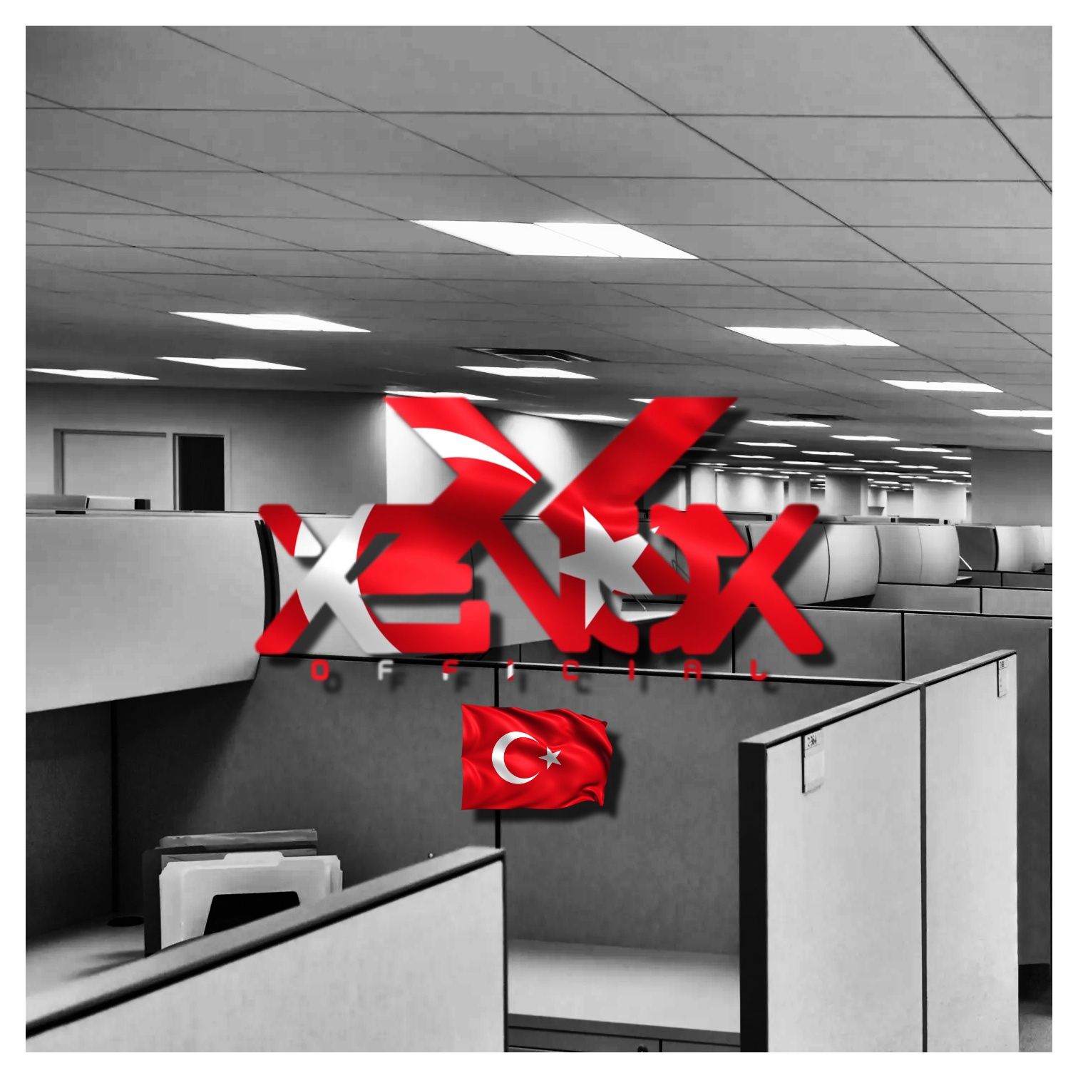 Cubical Walls (Turkish Cover)