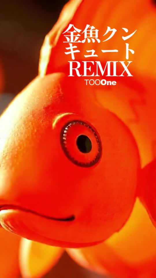 金魚クン、キュートREMIX　Kingyo-kun remix