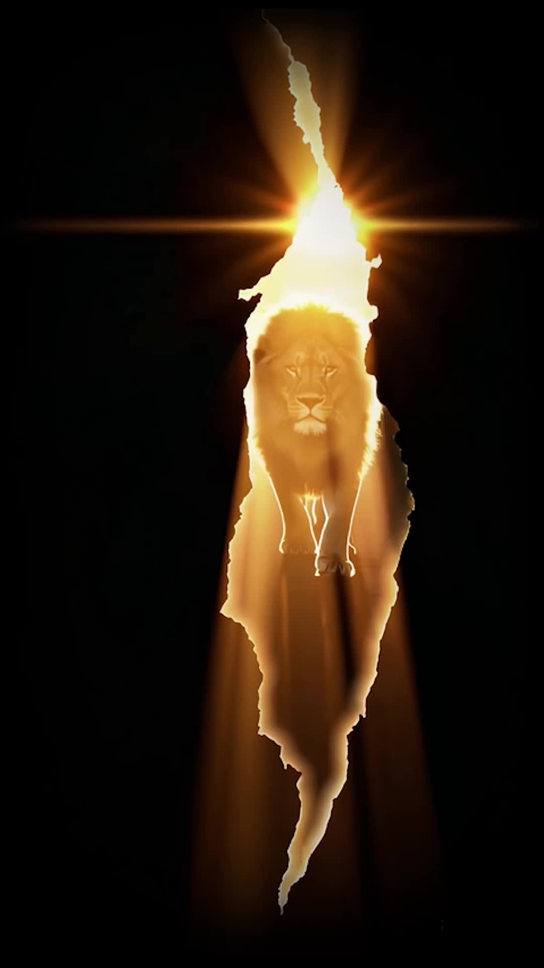 《獅指王》Lion Points to the King — But Who?