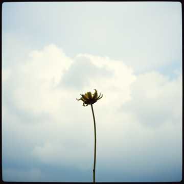 The Sky Was Gray When I Met You