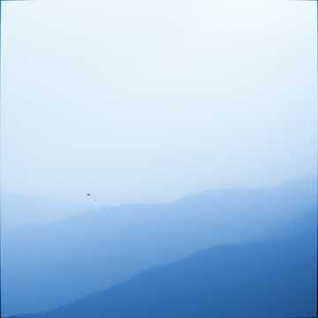 눈물의 의미(What Tears Mean)
