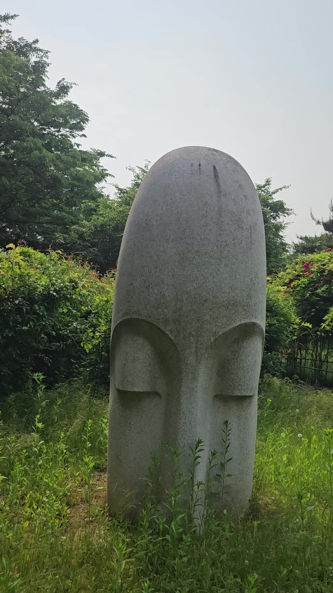 그냥 졸릴뿐
