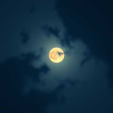Moonlight