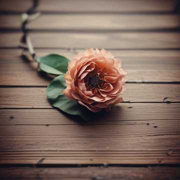 A Celle Qui Se Meurt (lyrics Ares)