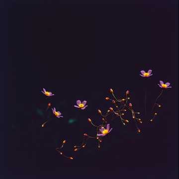 More Than Code (New 2) (Remastered 2)