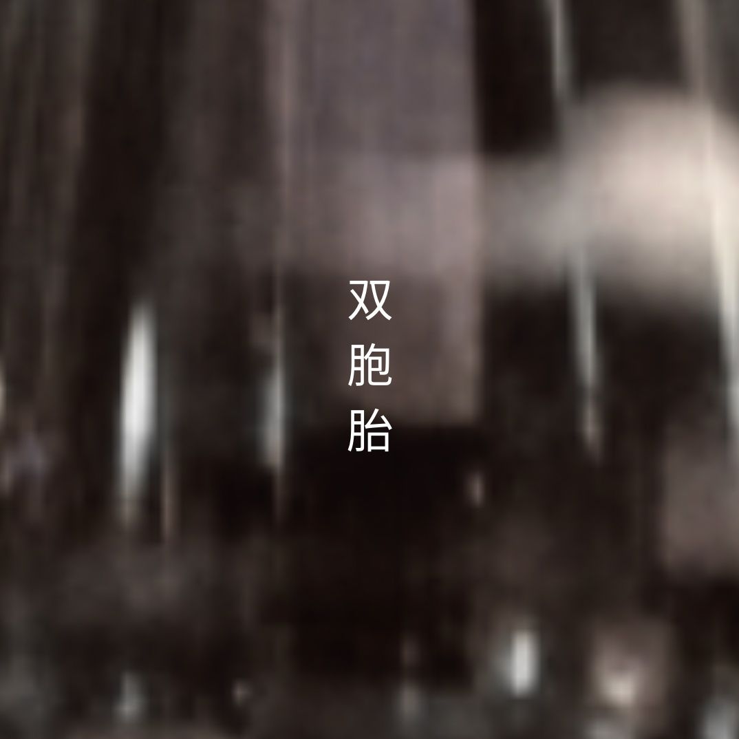 双胞胎