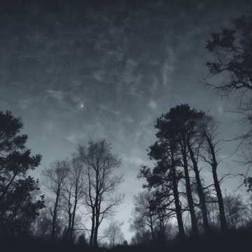 Hollow Starlight