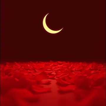 Lit de Roses (V.2)