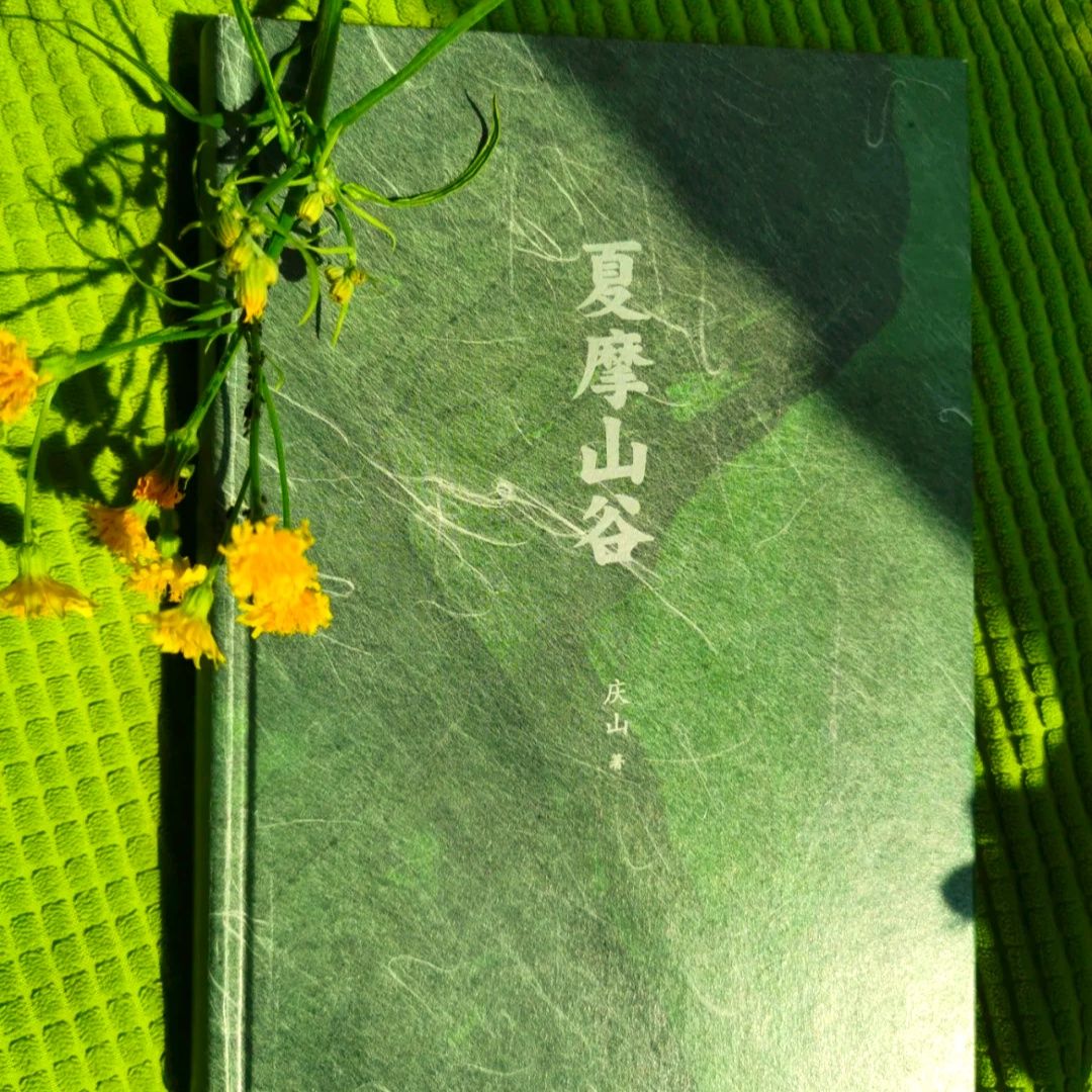 光锥之外的生命（远方的声音）
