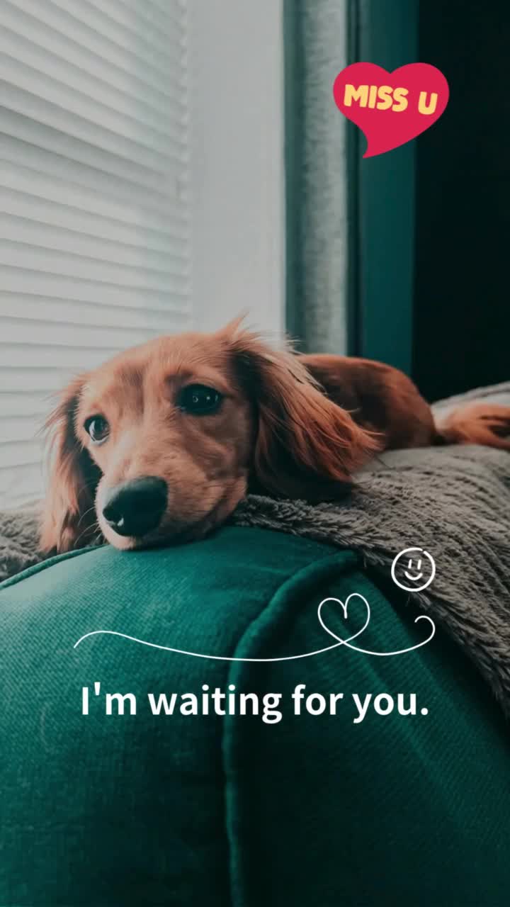待ってたよ！（犬の歌）