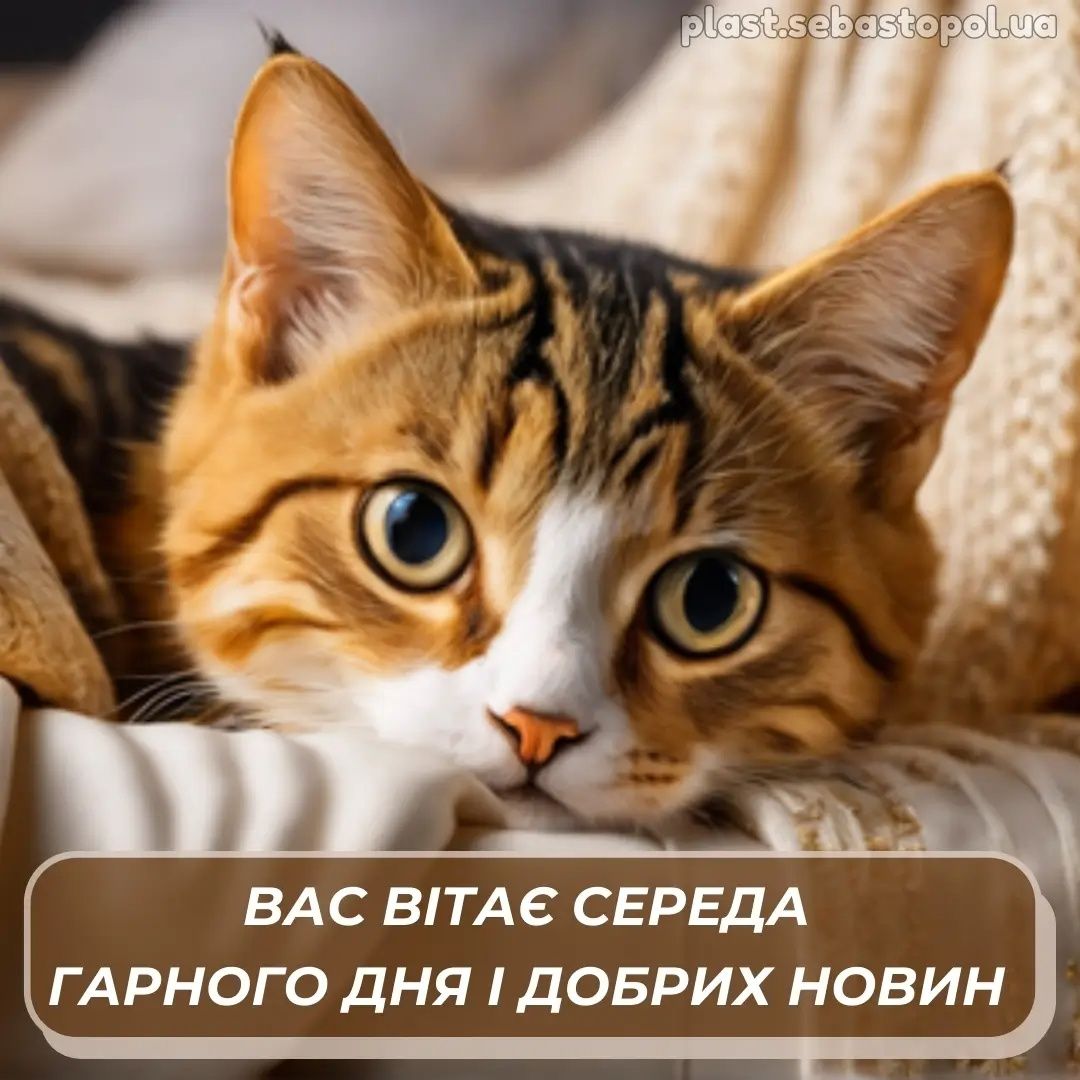 Уже сьогодні Середа  (Cover)