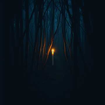 Shadows Within