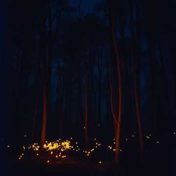 It is dark here