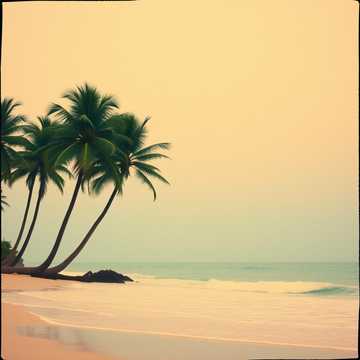 Danse sous les palmiers (Remastered)
