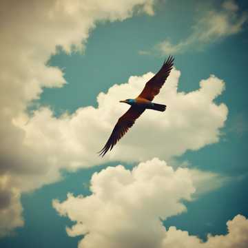 Fearless Dreams