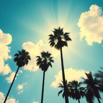 🎵 Title: "Sunlight Through the Rain"