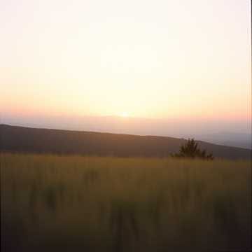 Dawn Awakening / 黎明觉醒