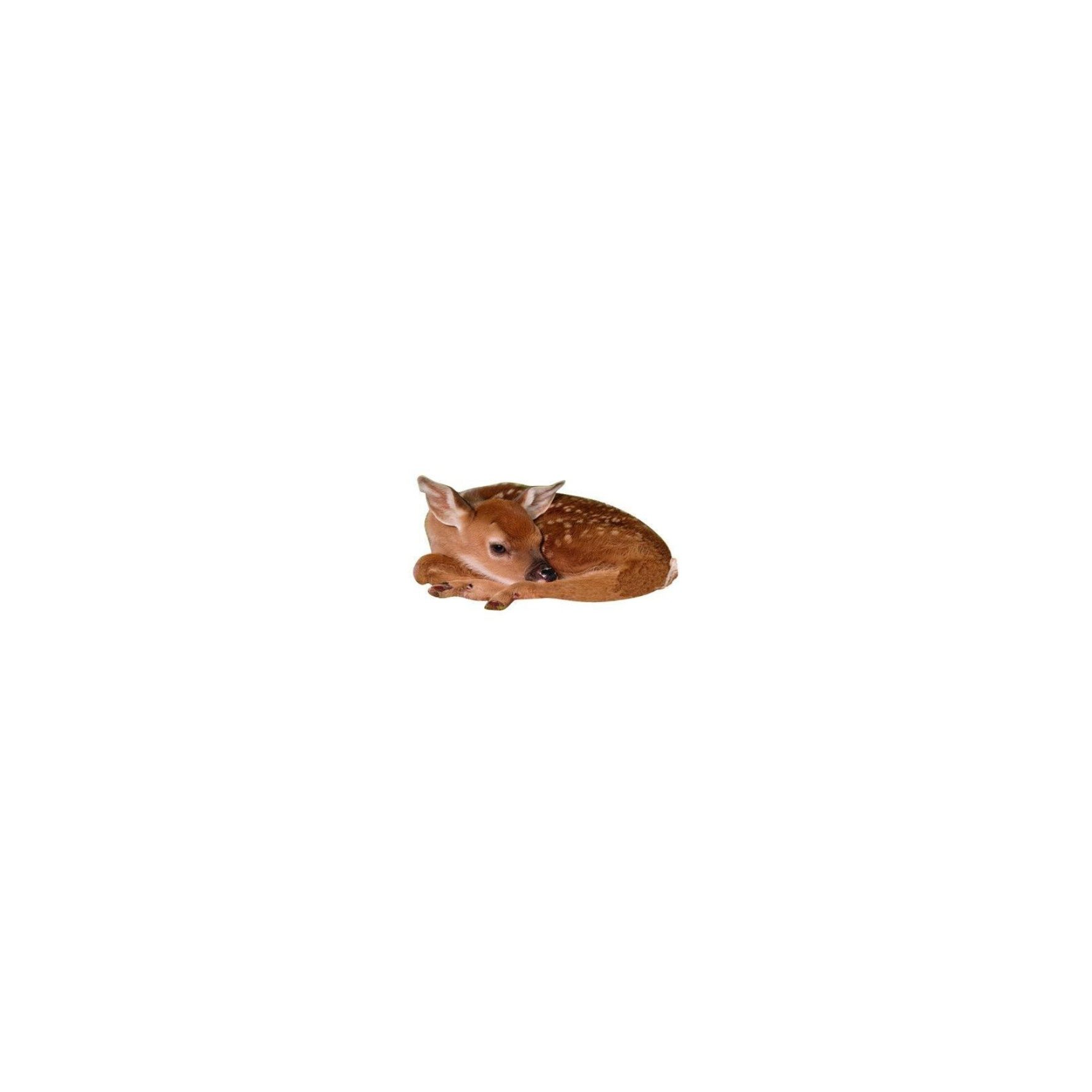 𝘤𝘳𝘦𝘥𝘪 𝘯𝘦𝘭 𝘱𝘢𝘳𝘢𝘥𝘪𝘴𝘰? ۶ৎ