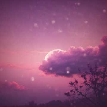 Unchosen Heart