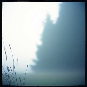 2. Fading Echoes