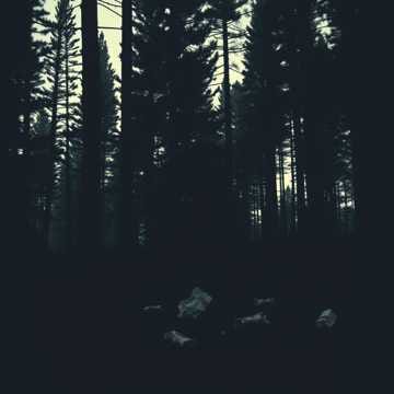 “Hard to Be Bigfoot”