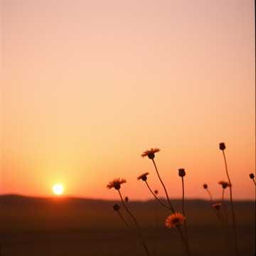 July