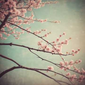 《爱随风来》