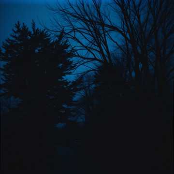 Blue Shadows