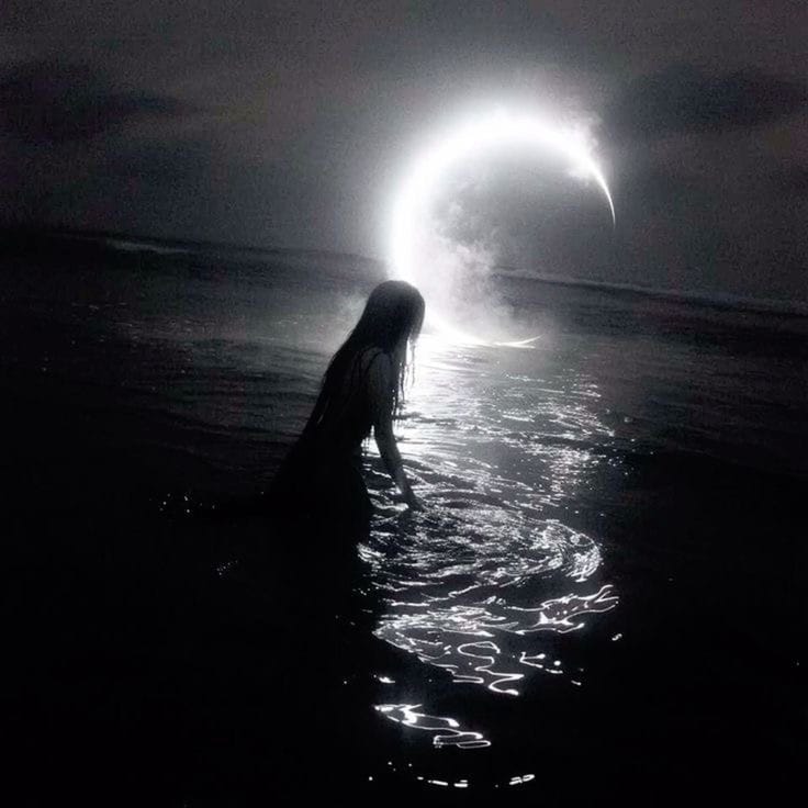MOONLIGHTS