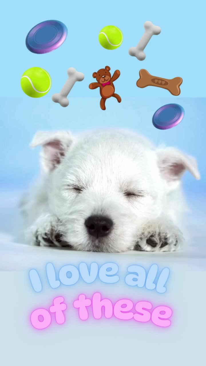 仔犬が見る夢(犬の歌)