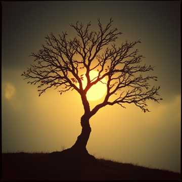 My Instincts Tell Me The Truth (Emotional Radio/Lounge)