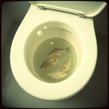 It's a Long Way Down the Drain