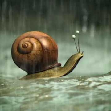 🐌 Моление улиток