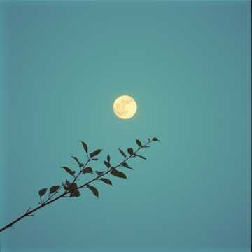 4. Whispers on the Breeze