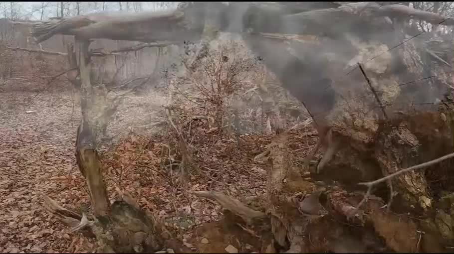 🎶🌲🌳Oh, Du schöner Westerwald🌲🌳🎶