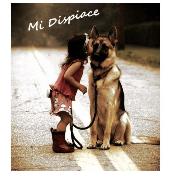 Mi dispiace