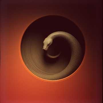 Fracture Spiral