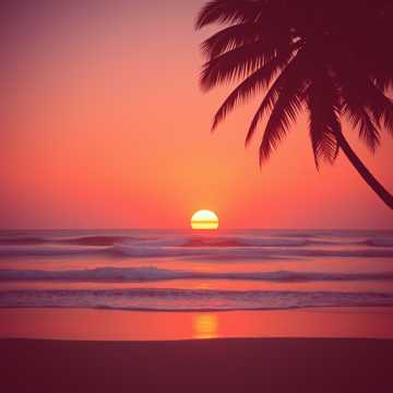 Amor Bajo el Sol @ 4i40Tish0's (Remix)