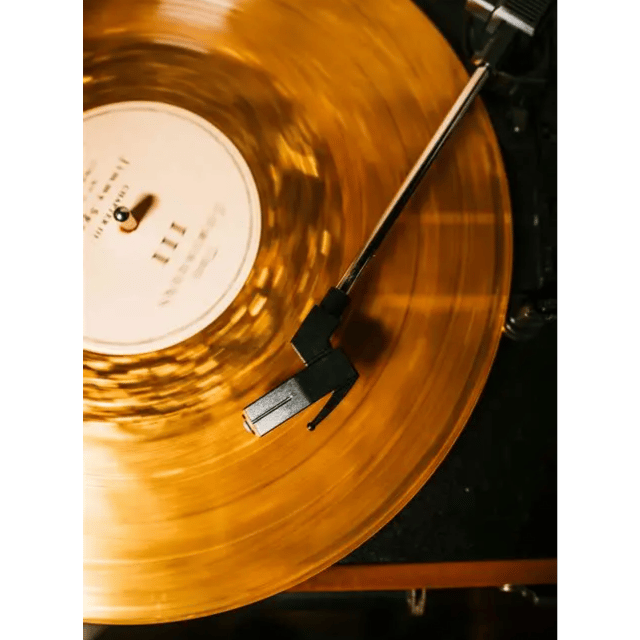 In Every Song We Were