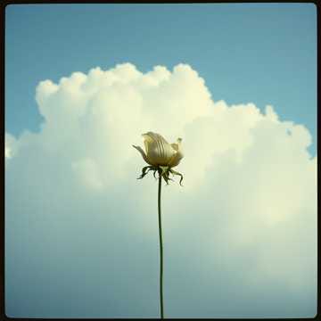 H.A.P.P.Y đ„Ž (Remix)