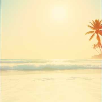 To the Beach