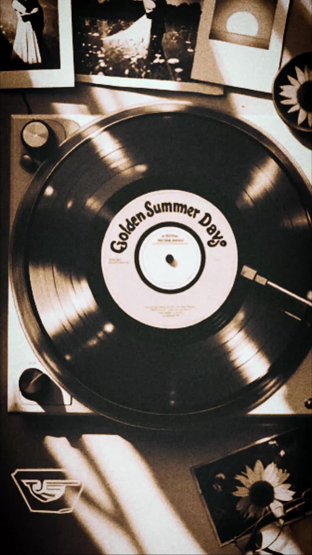 Golden Summer Days