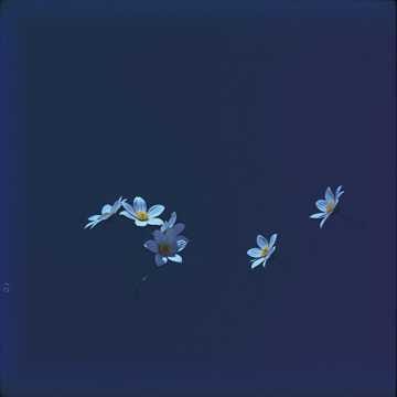 （タイトル未定）