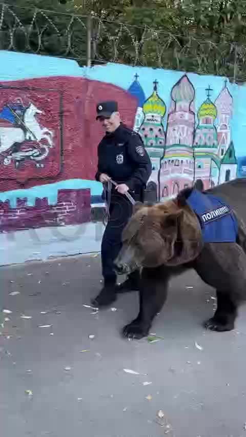 Патруль