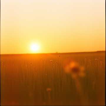Soulsick  :  You're My Everything (Pach cover) (Remix)