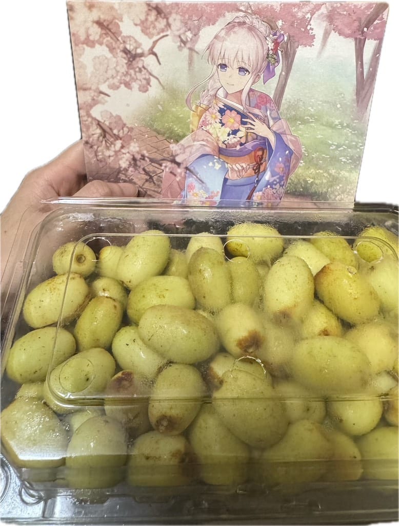苗栗土產生紅棗
