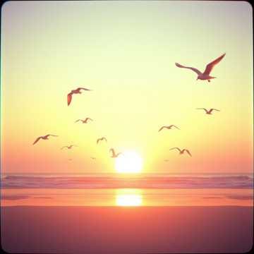 Sunrise (4.5+ Edition)